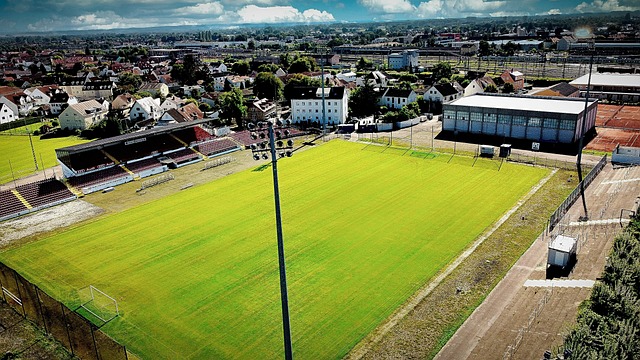 太傻了